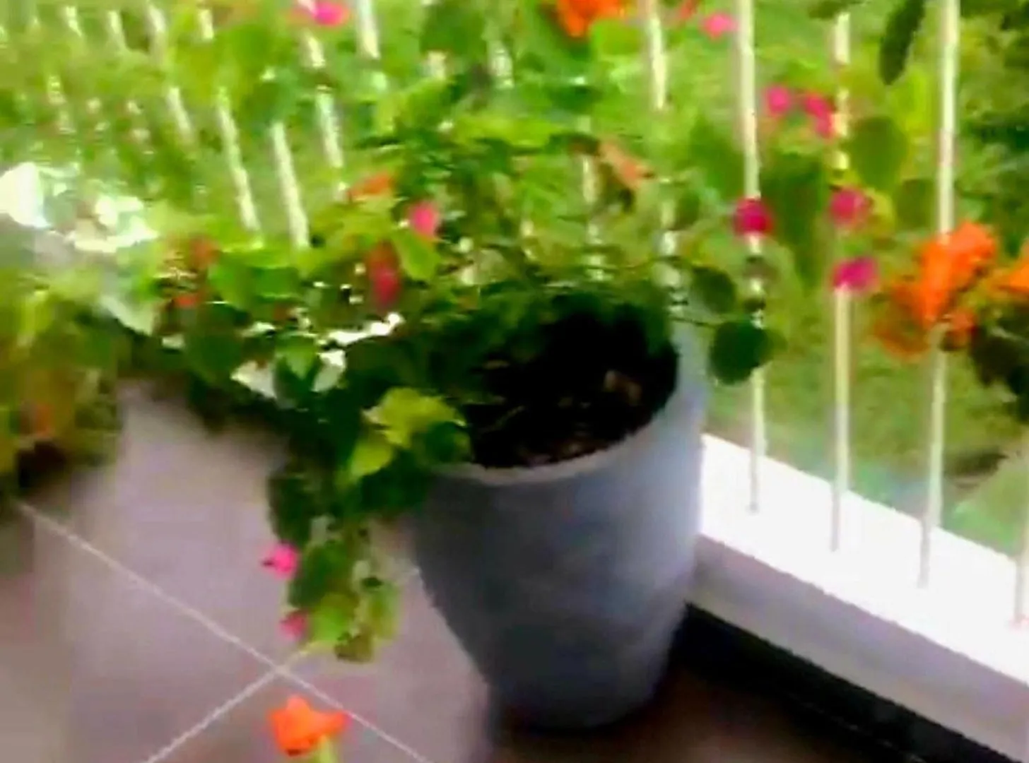Santorini Resort Art Of Living Apartment Negombo 48